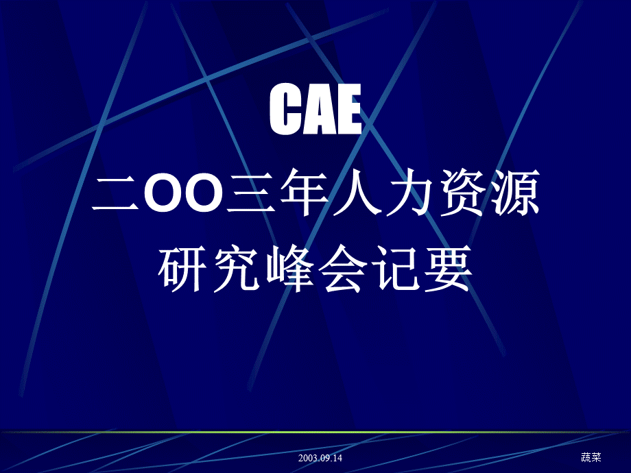 CAE二三年人力资源研究峰会纪要.pptx