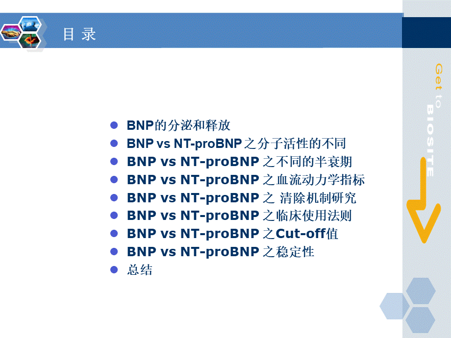 BNP与NT-proBNP主要区别PPT推荐.ppt_第2页