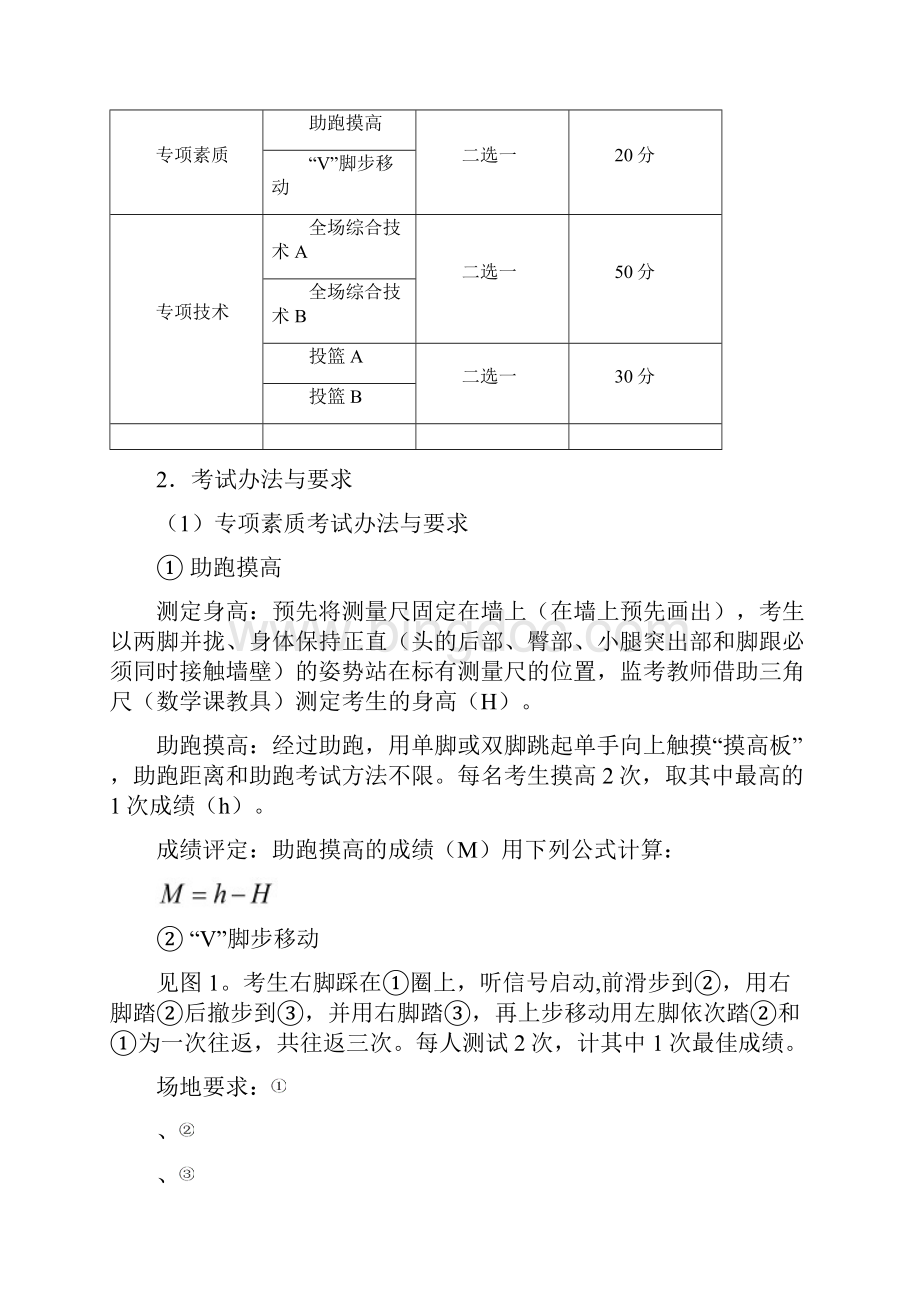 江苏体育高考专项评分标准.docx_第3页