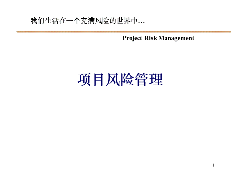 工程项目风险管理管控.pptx