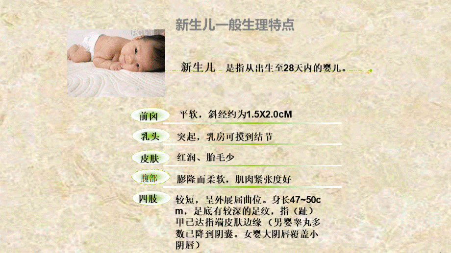 新生儿护理.pptx_第3页