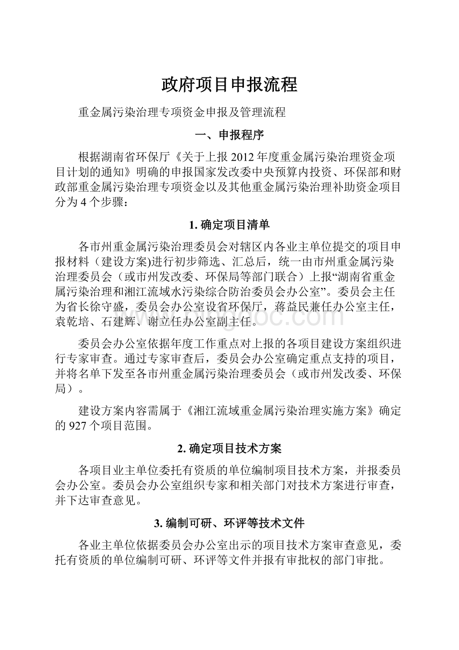 政府项目申报流程Word文档下载推荐.docx