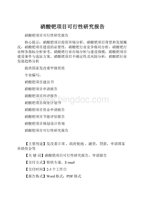 硝酸钯项目可行性研究报告Word文档格式.docx