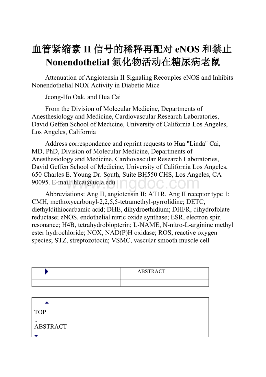 血管紧缩素II 信号的稀释再配对eNOS 和禁止Nonendothelial 氮化物活动在糖尿病老鼠Word文件下载.docx_第1页