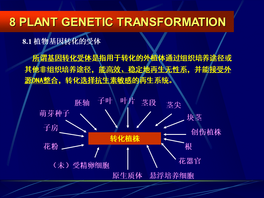 植物遗传转化体系的建立PPT文档格式.ppt_第3页