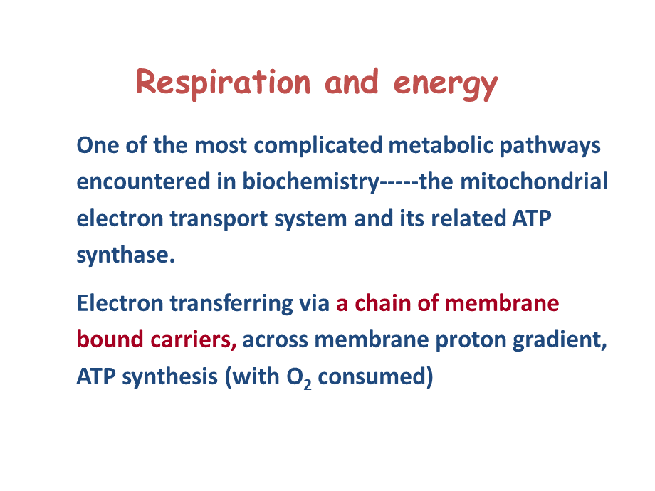 电子传递与氧化磷酸化.pptx_第1页
