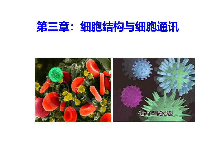 普通生物学第三章：细胞结构与细胞通讯优质PPT.ppt_第1页