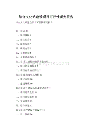 综合文化站建设项目可行性研究报告Word格式.docx