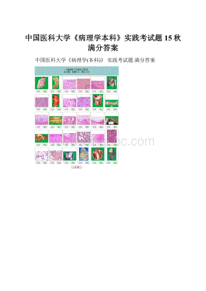 中国医科大学《病理学本科》实践考试题15秋满分答案.docx