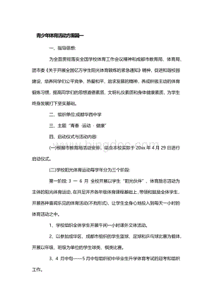 组织青少年体育活动的实施策划方案文档格式.docx