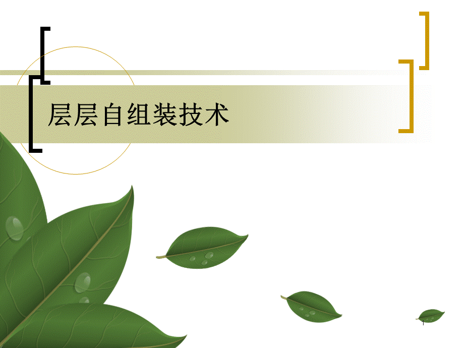 层层自组装.ppt