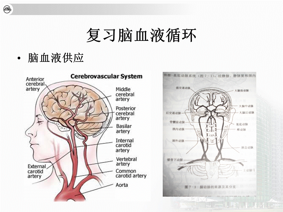 神经病学（第7版）贾建平-李岩-周围神经病变ppt课件PPT格式课件下载.ppt_第3页