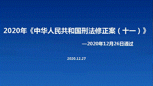 《中华人民共和国刑法修正案(十一)》普法教育ppt.pptx