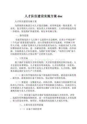 人才队伍建设实施方案doc文档格式.docx