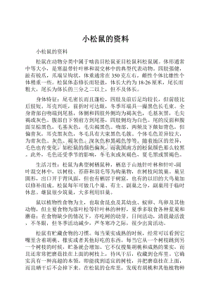 小松鼠的资料.docx