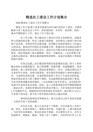 精选社工委会工作计划集合.docx