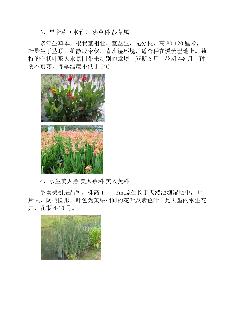 贵州省常用水生植物收集整理.docx_第3页