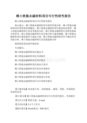 稀土铁氮永磁材料项目可行性研究报告.docx