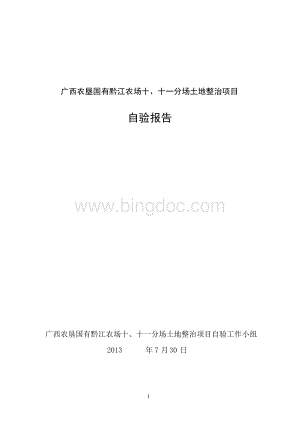 土整项目自验报告.docx