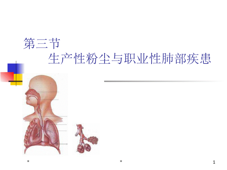 (职业卫生课件）尘肺(录像)知识讲稿.pptx_第1页