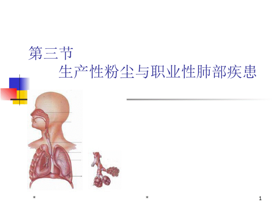 (职业卫生课件）尘肺(录像)知识讲稿PPT文档格式.pptx