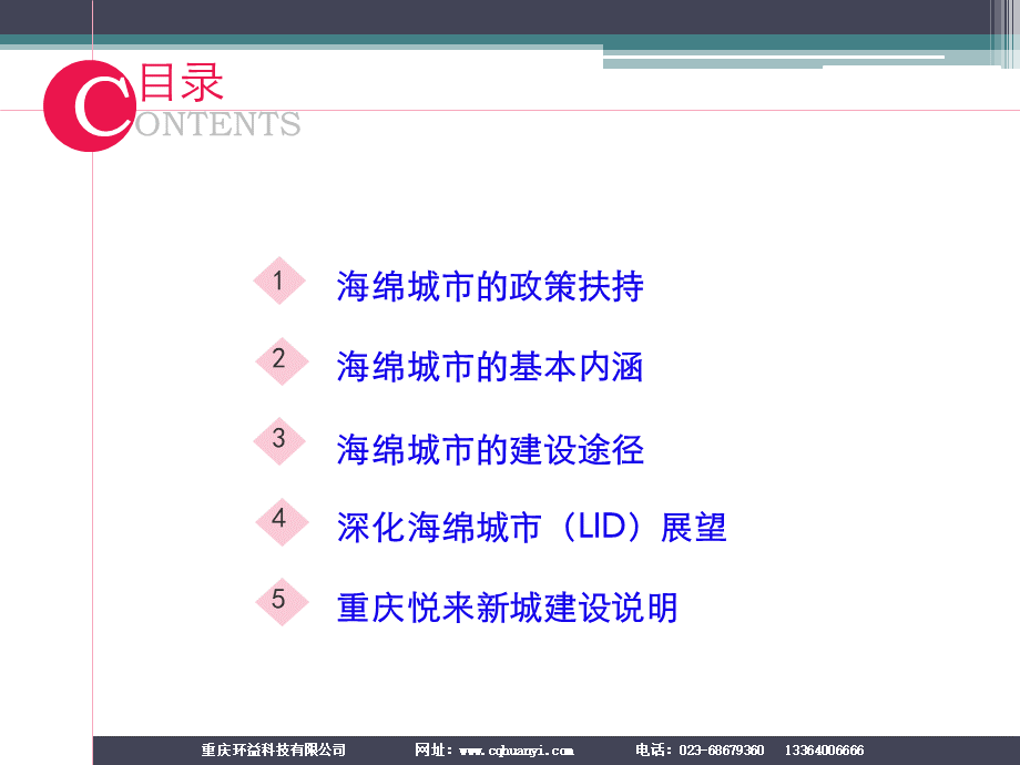 海绵城市介绍PPT.ppt_第2页