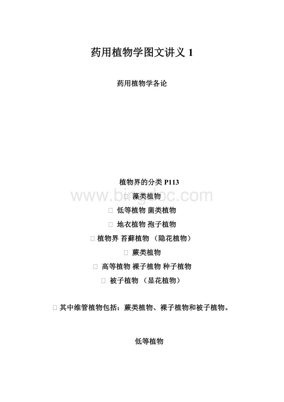 药用植物学图文讲义 1Word格式文档下载.docx_第1页