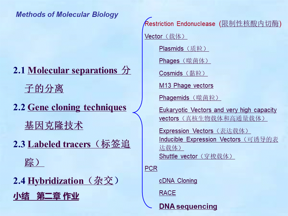 分子生物学实验技术总汇 (1)PPT文件格式下载.ppt_第2页