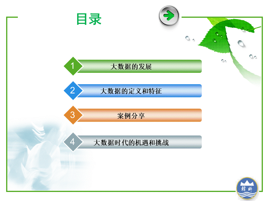 大数据与管理(PPT-37张).ppt_第3页