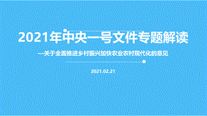 解读2021年中央一号文件《关于全面推进乡村振兴加快农业农村现代化的意见》.pptx