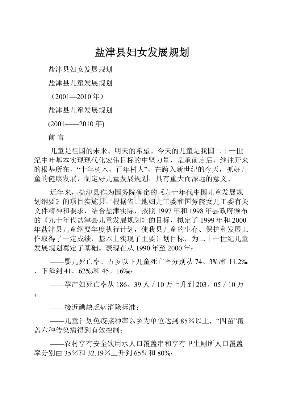 盐津县妇女发展规划.docx_第1页