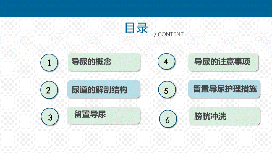 留置导尿术详解PPT格式课件下载.pptx_第2页