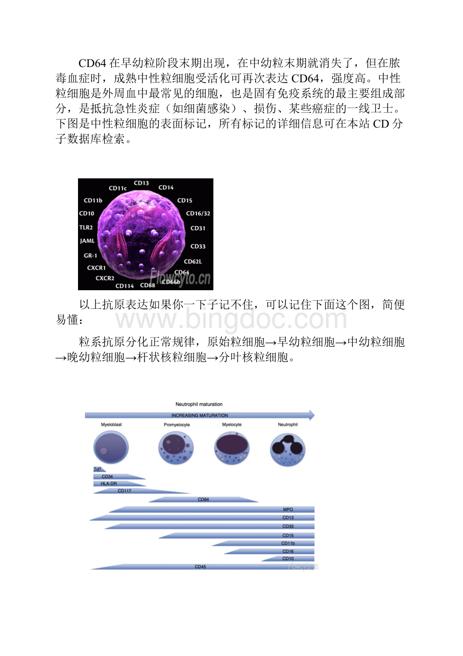 各系细胞正常抗原分化规律和散点图.docx_第2页