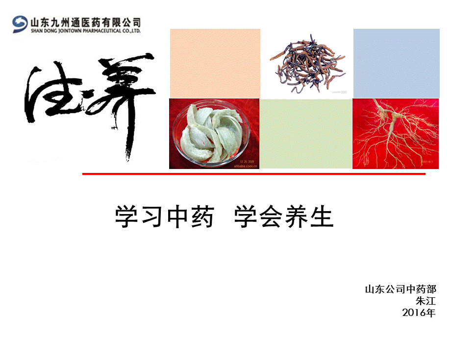 学习中药学会养生ppt课件.pptx