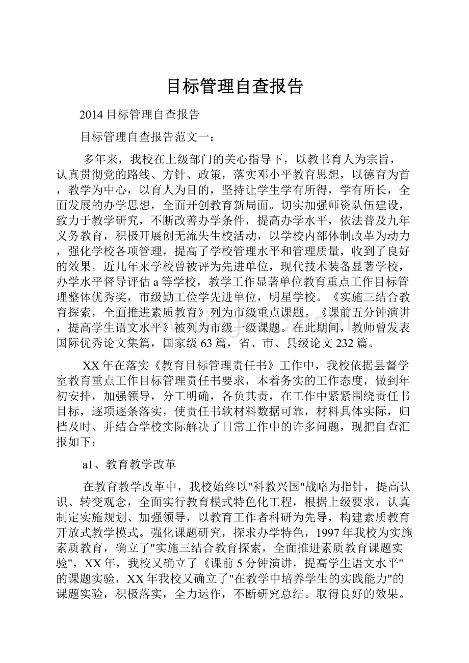 目标管理自查报告Word格式文档下载.docx_第1页