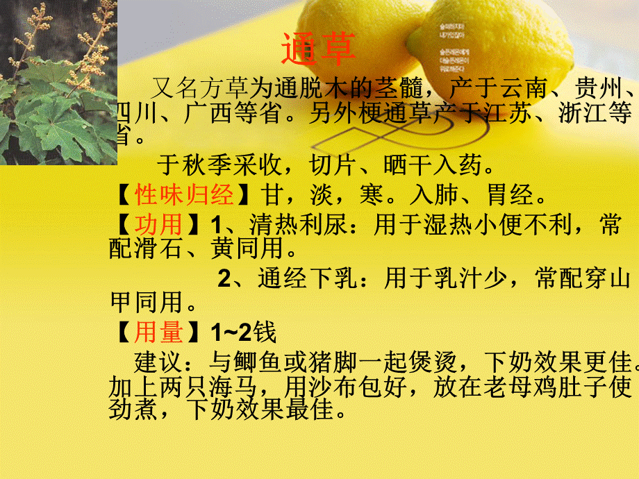 催乳常用中药.ppt