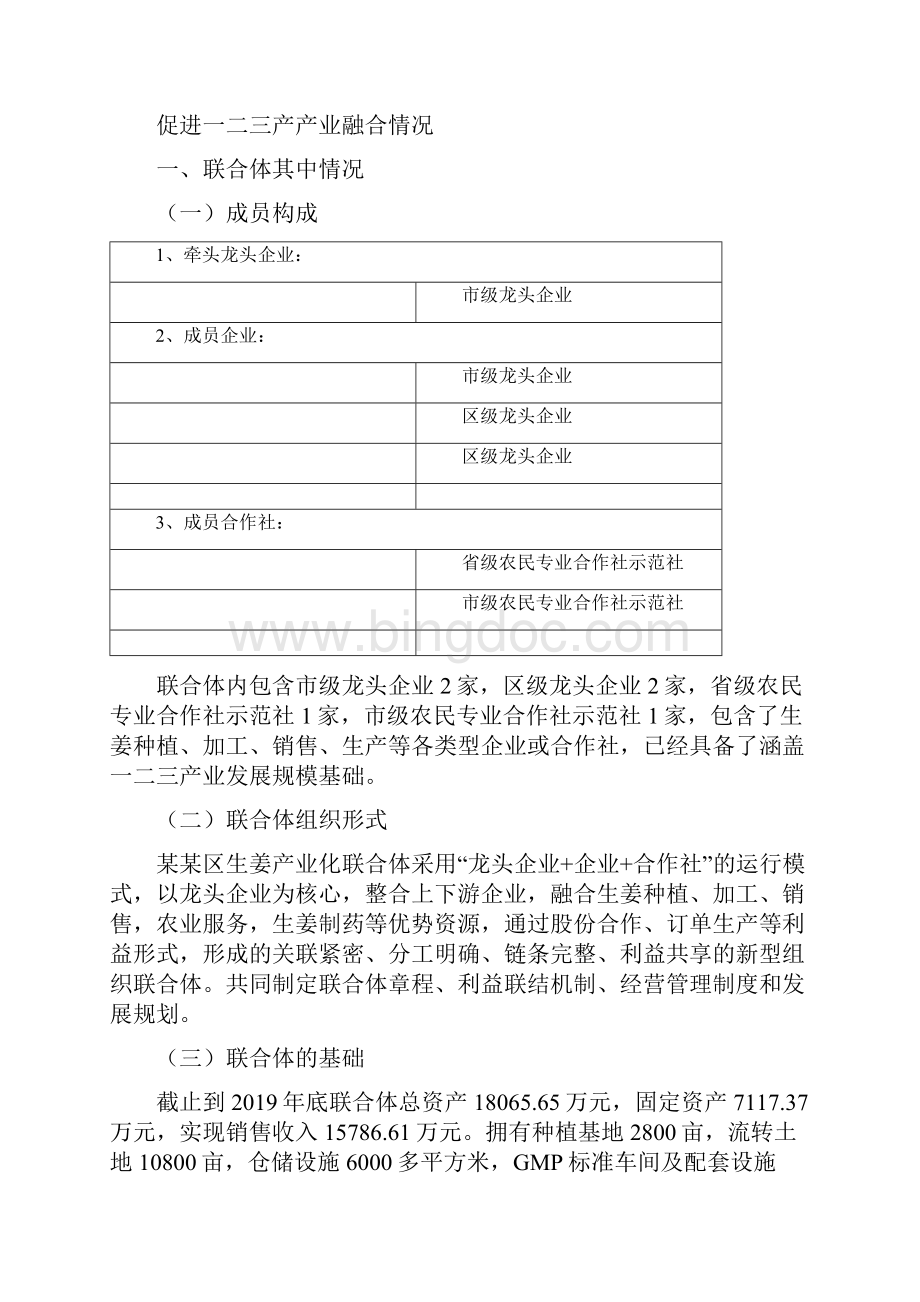 市级农业产业化联合体申报书Word格式文档下载.docx_第2页