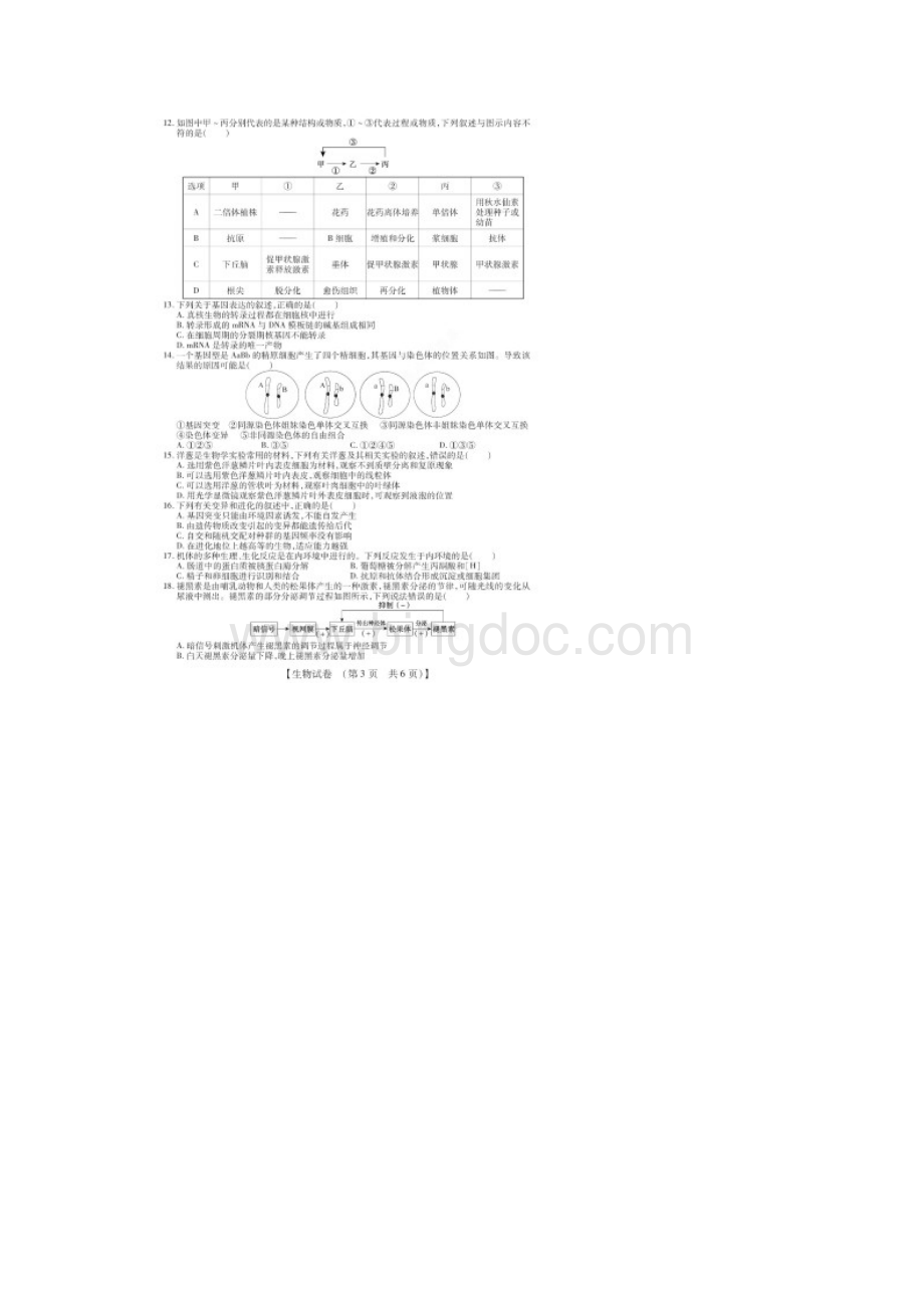 非凡吉创学年上学期高三年级模拟调研考试生物试题含答案和解析.docx_第3页