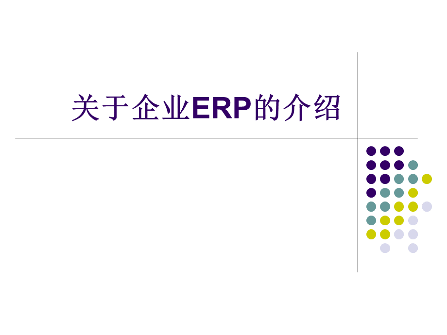 ERP简介.ppt_第1页