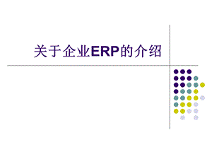 ERP简介.ppt