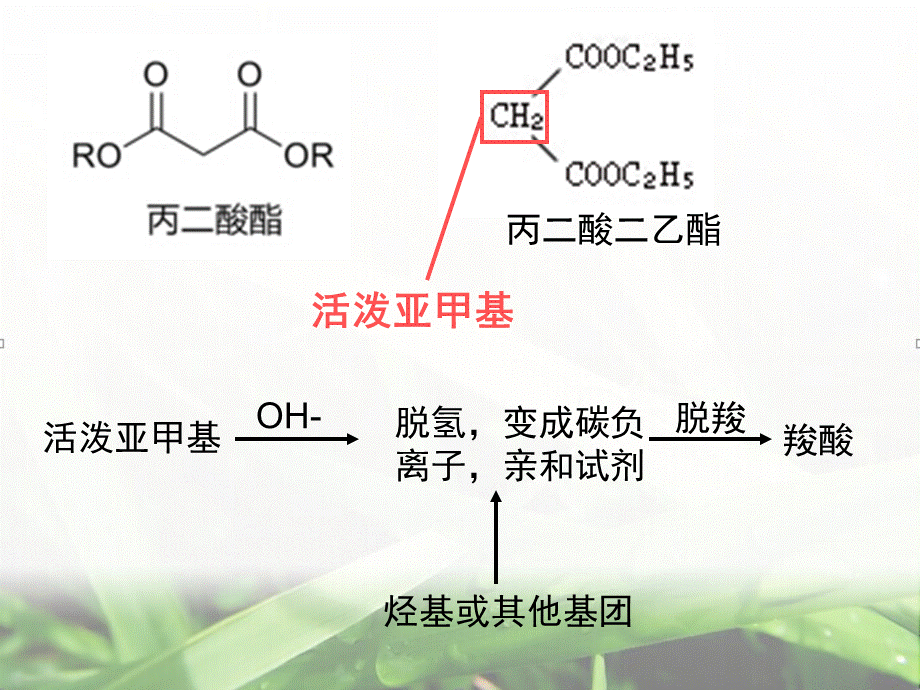 丙二酸酯合成法.ppt_第2页