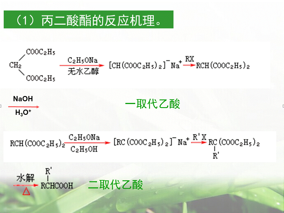 丙二酸酯合成法.ppt_第3页