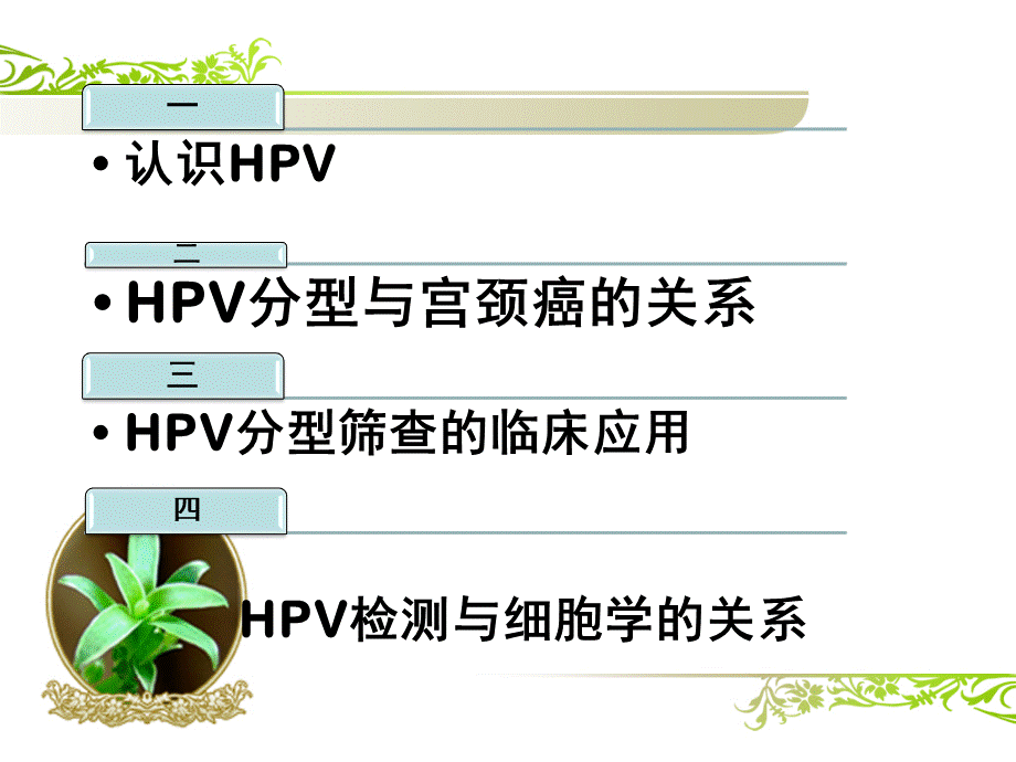HPV课件.pptx_第2页