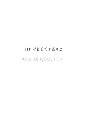 PPP项目公司管理办法 (1)Word文档格式.docx