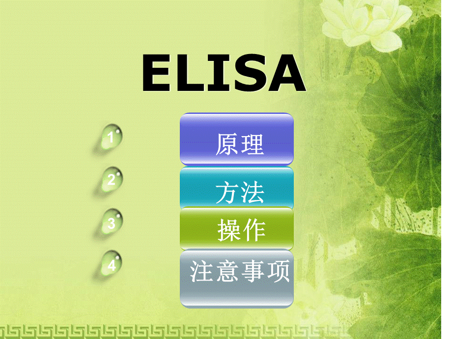 ELISA原理、方法、操作及注意事项.ppt