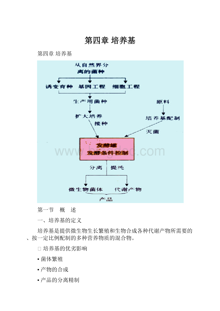 第四章 培养基Word格式文档下载.docx