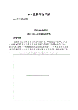 sap盈利分析详解Word文档格式.docx