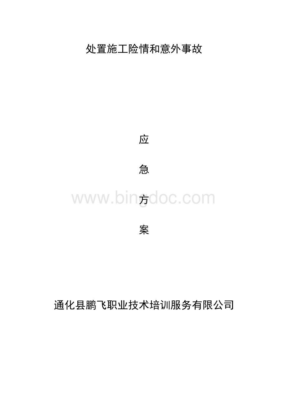 处置施工险情和意外事故应急方案.doc