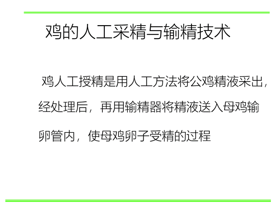 鸡的人工采精与输精技术PPT文件格式下载.pptx_第1页