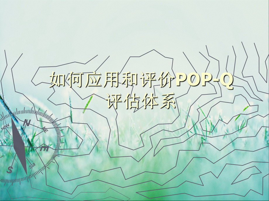 如何应用和评价POPQ评估体系.ppt